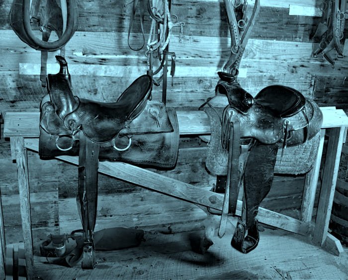 Pferdesättel in einem Sattellager – Symbol für die Reiterversicherung von RIANEVA, die Tierarztkosten und Risiken in der Pferdehaltung absichert.